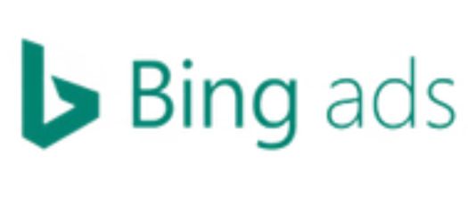 Bing Partner